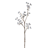 Branche de Baies